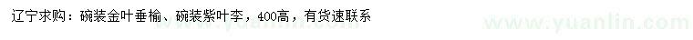 求購(gòu)高400公分金葉垂榆、紫葉李