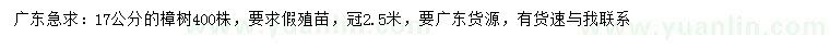 求購17公分樟樹