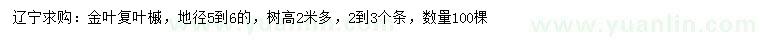 求購地徑5-6公分金葉復葉槭