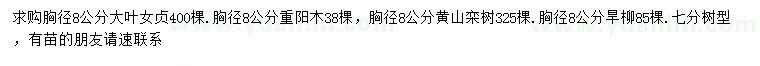 求購大葉女貞、重陽木、黃山欒樹等