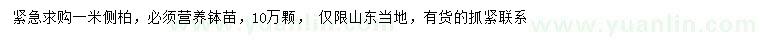 求購(gòu)1米側(cè)柏