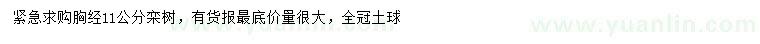 求購胸徑11公分欒樹