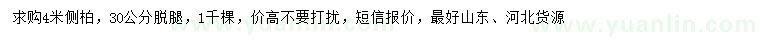 求購(gòu)4米側(cè)柏