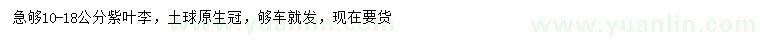 求購10-18公分紫葉李
