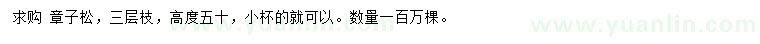 求購高50公分樟子松