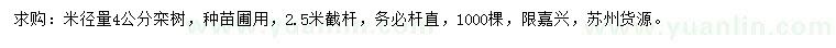 求購米徑4公分欒樹