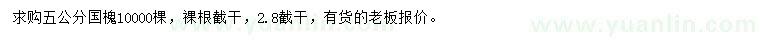 求購5公分國槐