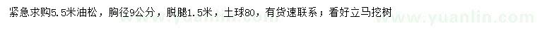 求購5.5米油松