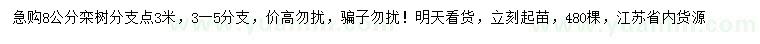 求購8公分欒樹