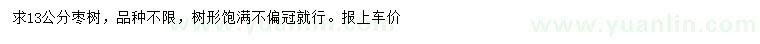 求購13公分棗樹