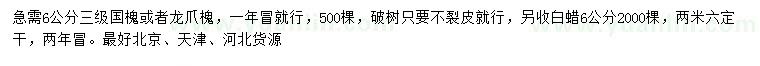 求購國槐、龍爪槐、白蠟