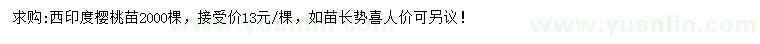 求購西印度櫻桃苗