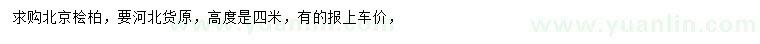 求購高4米北京檜柏