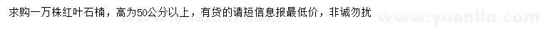 求購高50公分以上紅葉石楠