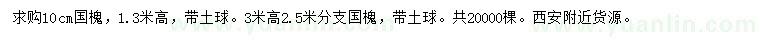 求購10公分國槐