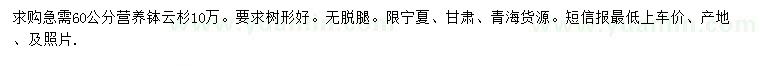 求購60公分云杉
