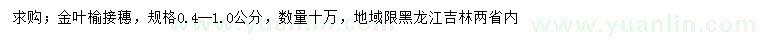 求購0.4-1公分金葉榆接穗