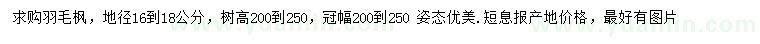 求購(gòu)地徑16-18公分羽毛楓