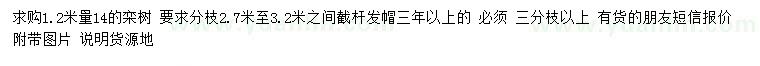 求購1.2米量14公分欒樹