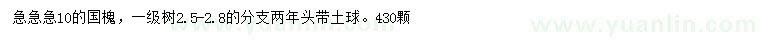 求購(gòu)10公分國(guó)槐