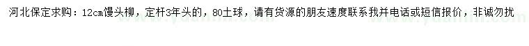 求購(gòu)12公分饅頭柳