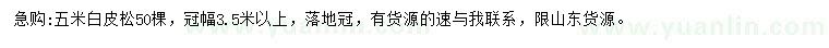 求購5米白皮松