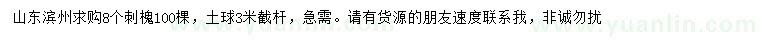 求購8公分刺槐