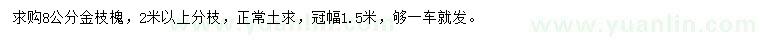求購8公分金枝槐
