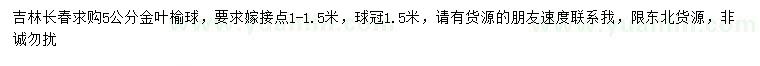 求購5公分金葉榆球