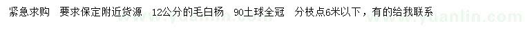 求購(gòu)12公分毛白楊