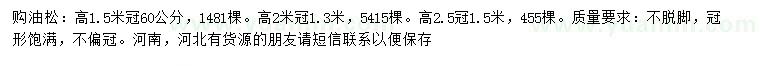 求購高1.5、2、2.5米油松