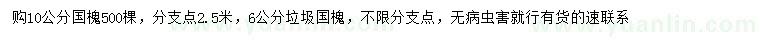 求購(gòu)6、10公分國(guó)槐