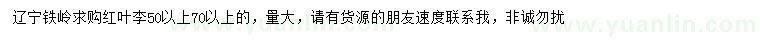 求購50-70公分紅葉李