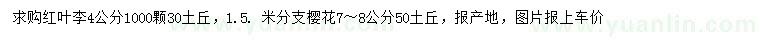 求購4公分紅葉李、7-8公分櫻花