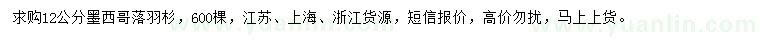 求購12公分墨西哥落羽杉