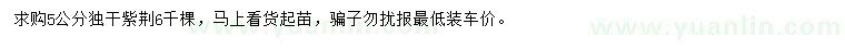 求購5公分紫荊