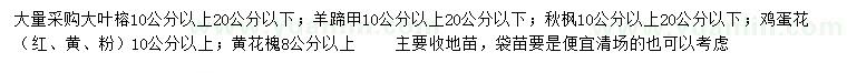 求購大葉榕、羊蹄甲、秋楓等
