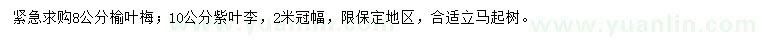 求購8公分榆葉梅、10公分紫葉李