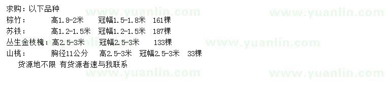 求購棕竹、蘇鐵、金枝槐等