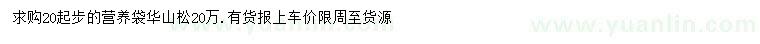 求購(gòu)20公分以上華山松