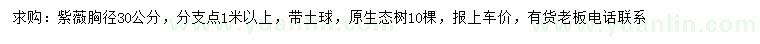 求購胸徑30公分紫薇