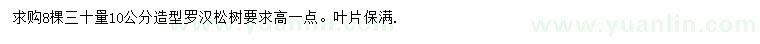 求購30量10公分造型羅漢松