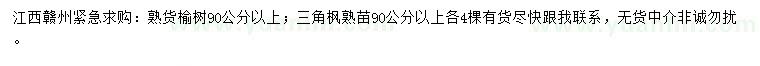 求購90公分以上榆樹、三角楓