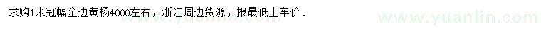 求購(gòu)冠幅1米金邊黃楊