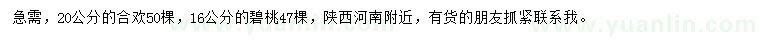 求購20公分合歡、16公分碧桃