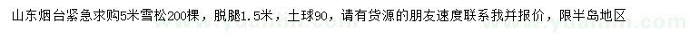 求購5米雪松