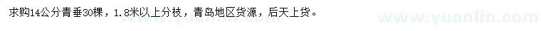求購(gòu)14公分青垂