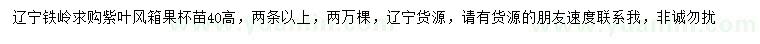 求購高40公分紫葉風箱果