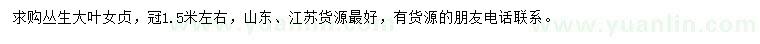求購(gòu)冠1.5米左右叢生大葉女貞