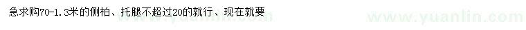 求購70-130公分側柏